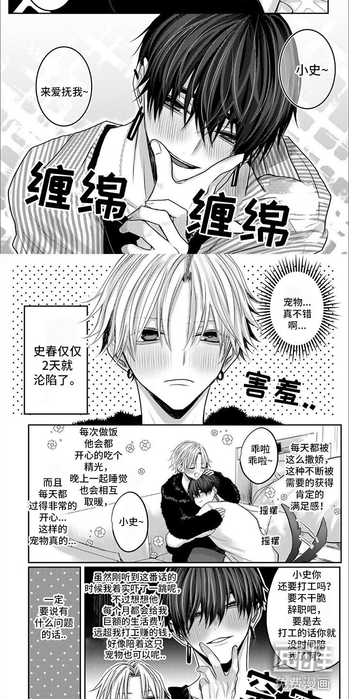第5章：早点回来