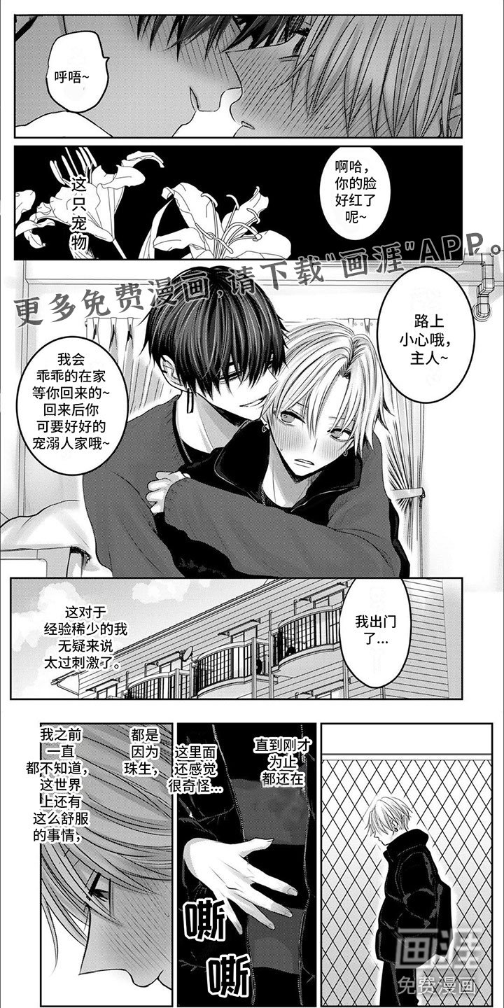 第6章：藏了什么