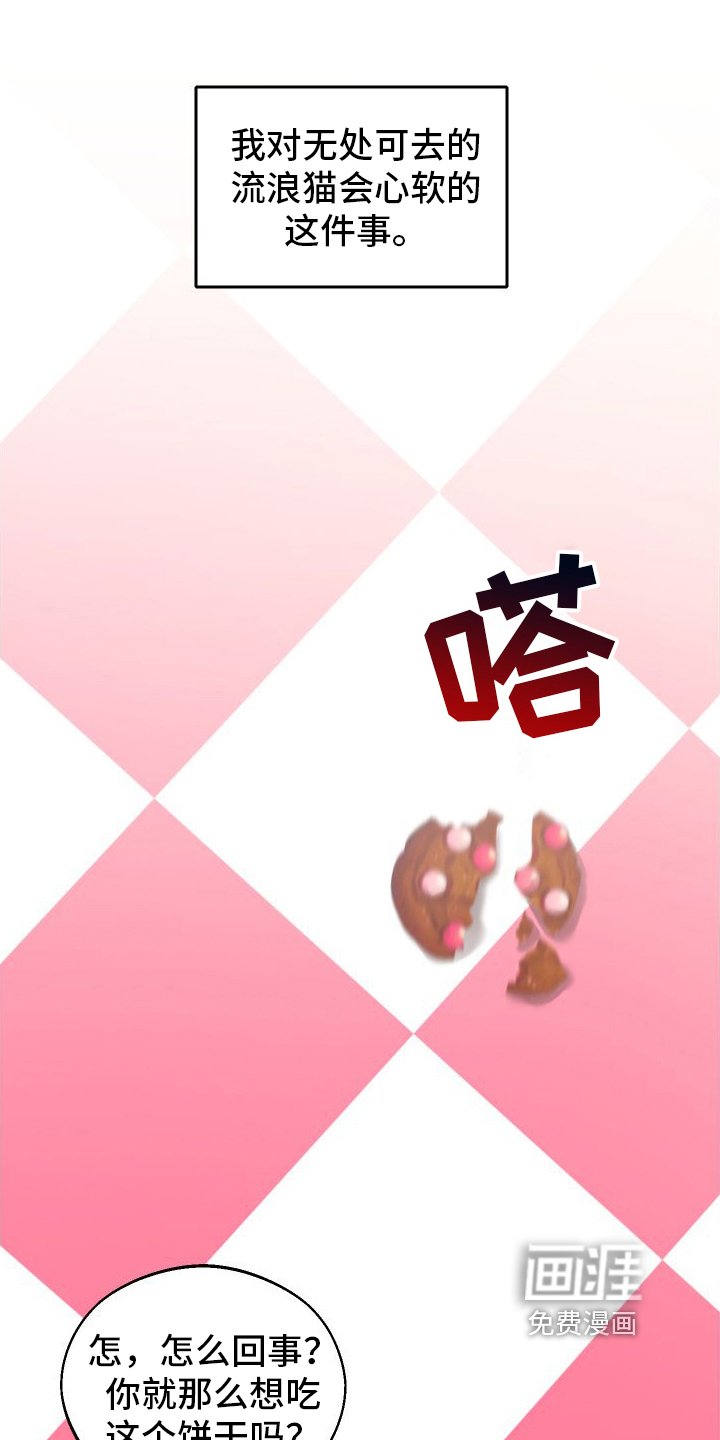 第13章：第二个弟弟