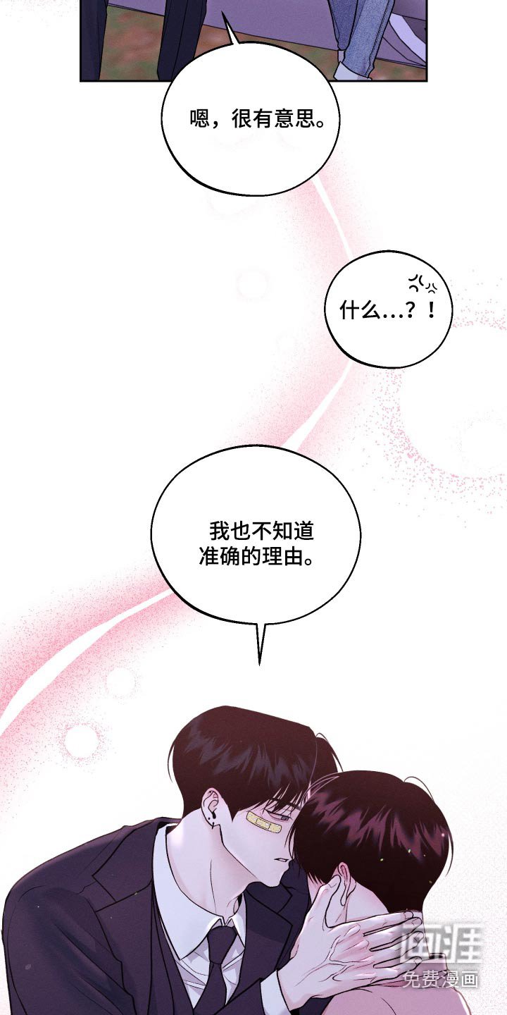 第29章：理由