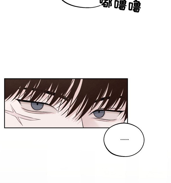 第3章：嘲笑