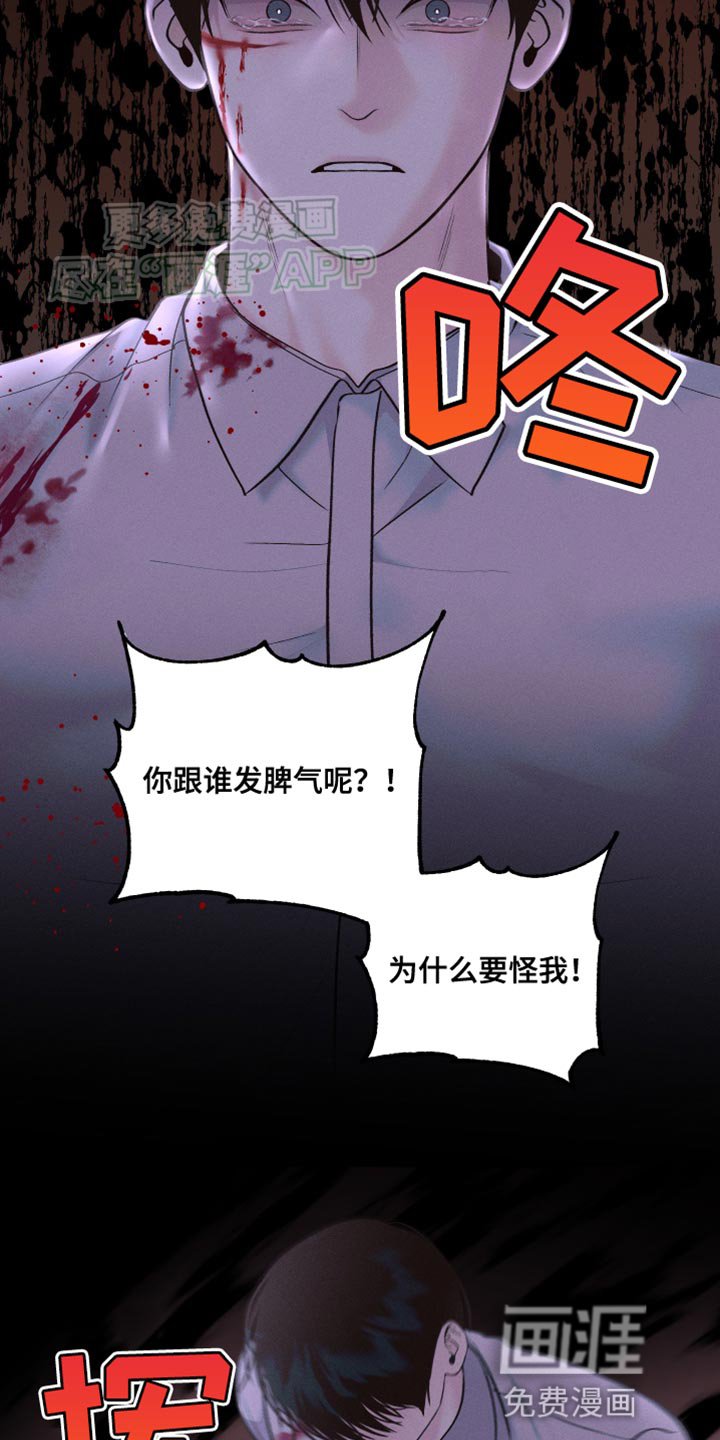 第40章：所有的一切