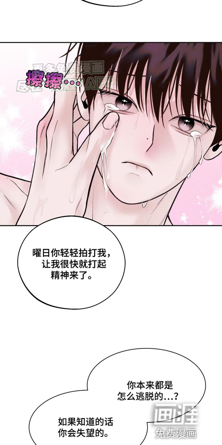 第40章：所有的一切