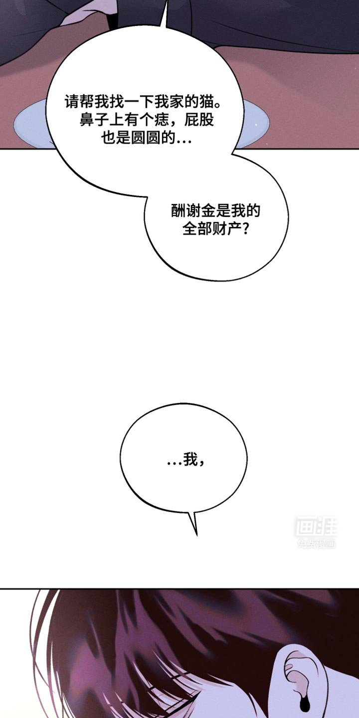 第44章：一起去上大学吧