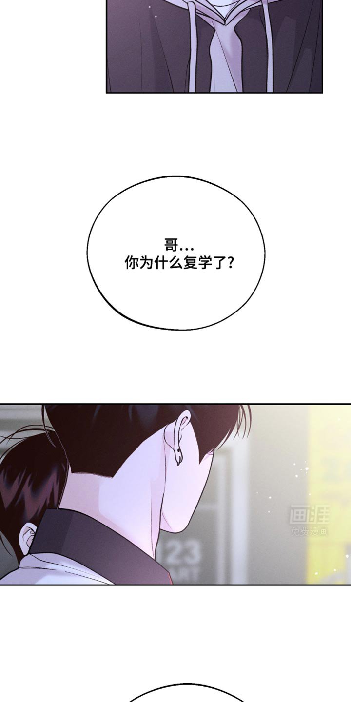 第46章：新的朋友
