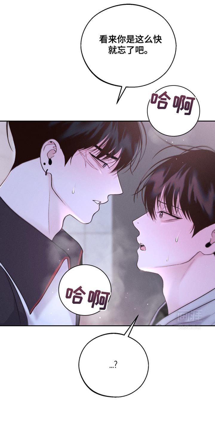 第46章：新的朋友