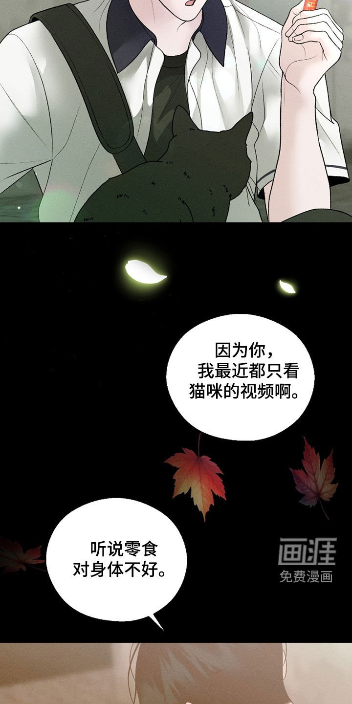 第78章：【第二季】遗忘