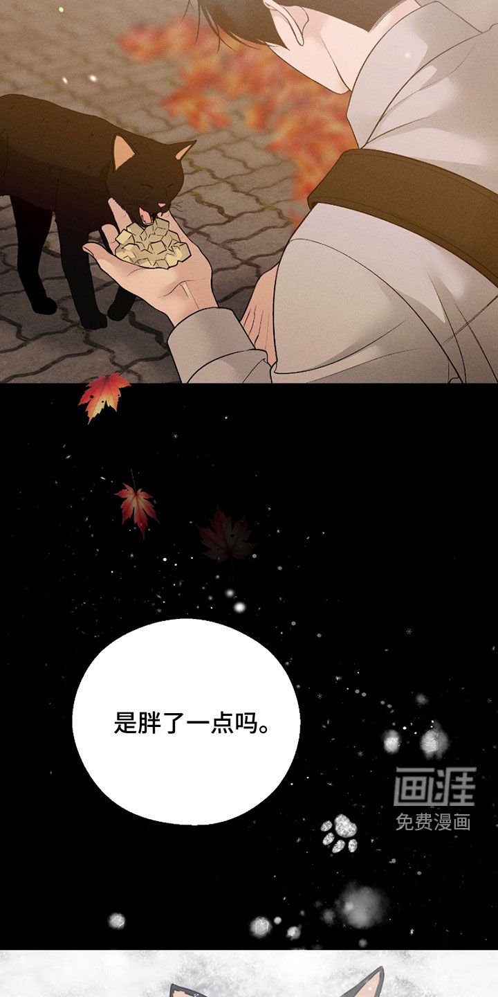 第78章：【第二季】遗忘