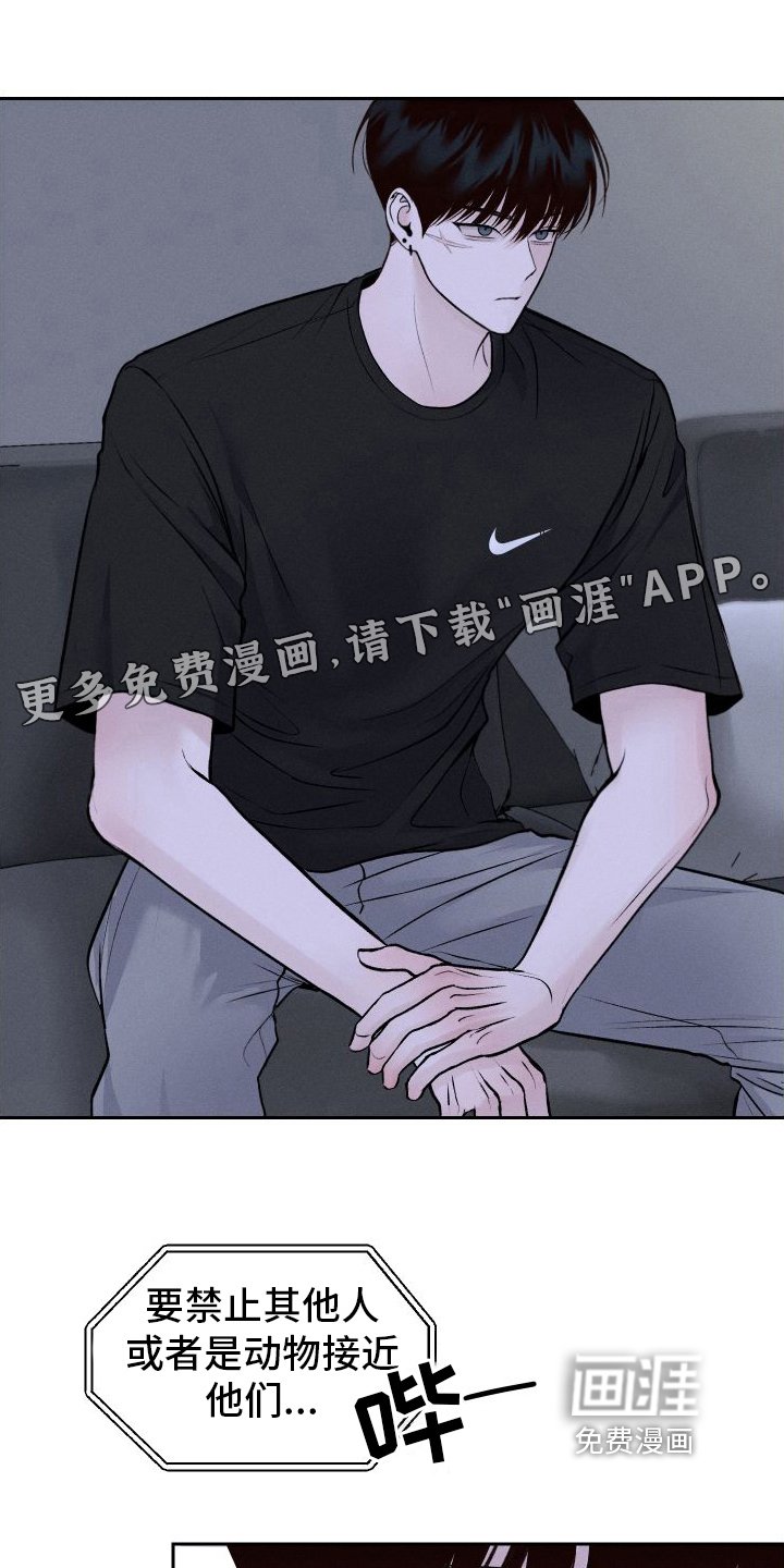第8章：胡思乱想