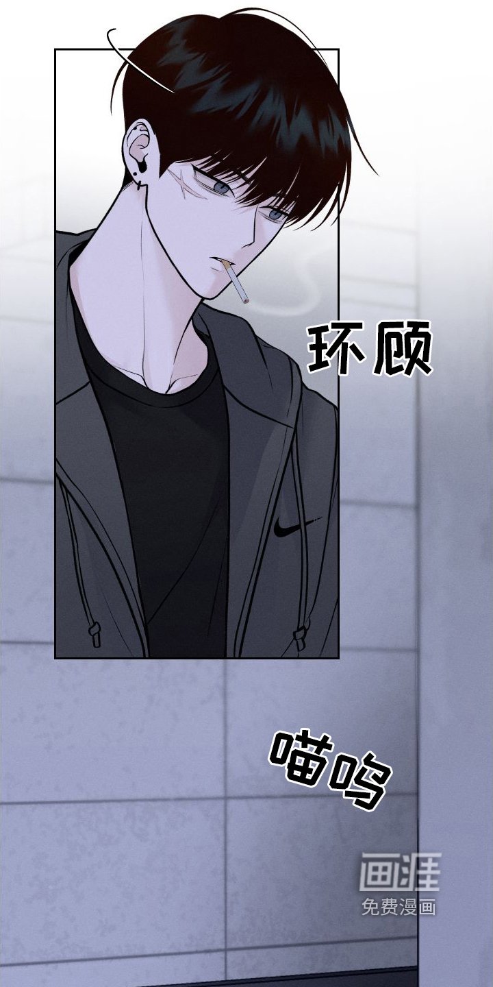 第8章：胡思乱想