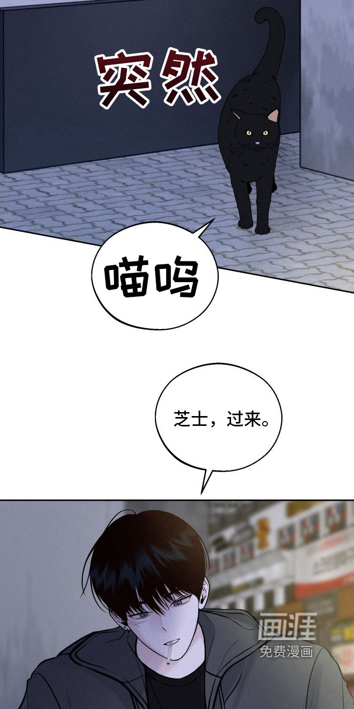 第8章：胡思乱想
