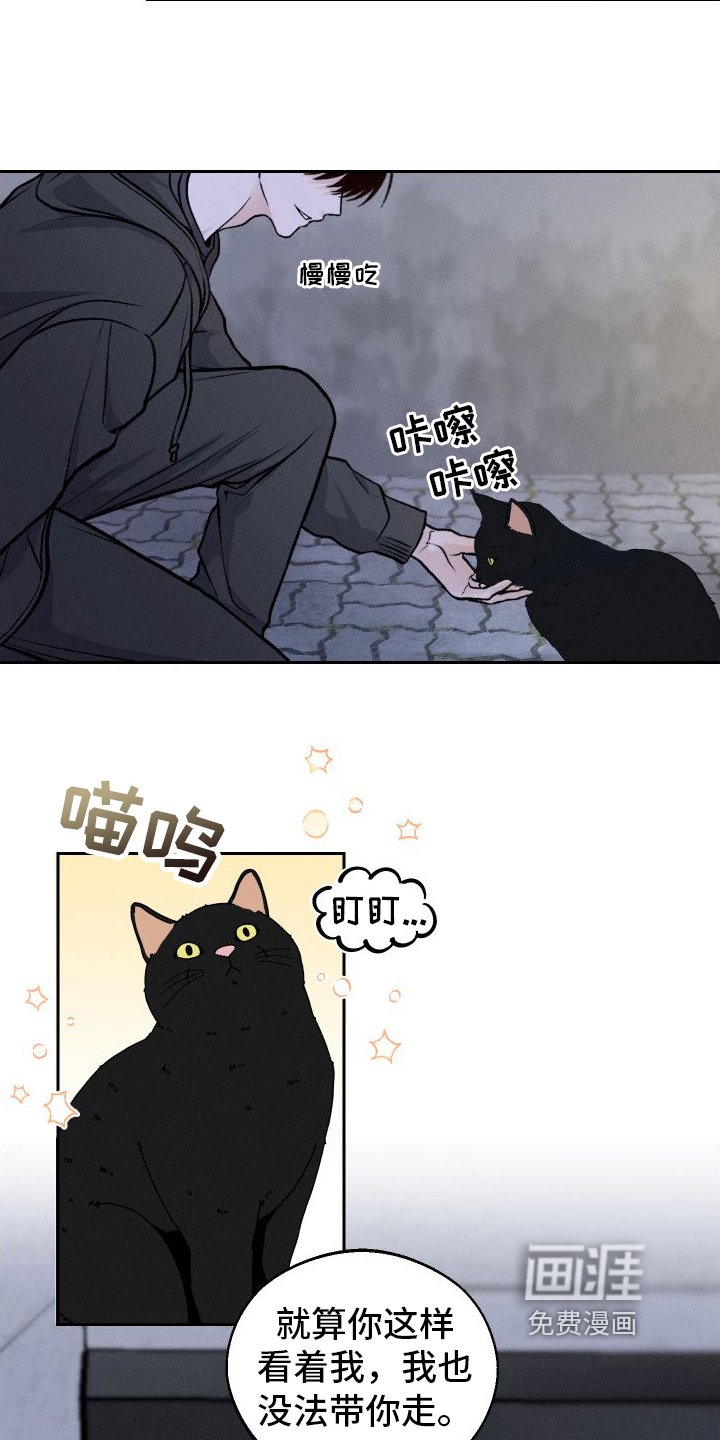第8章：胡思乱想