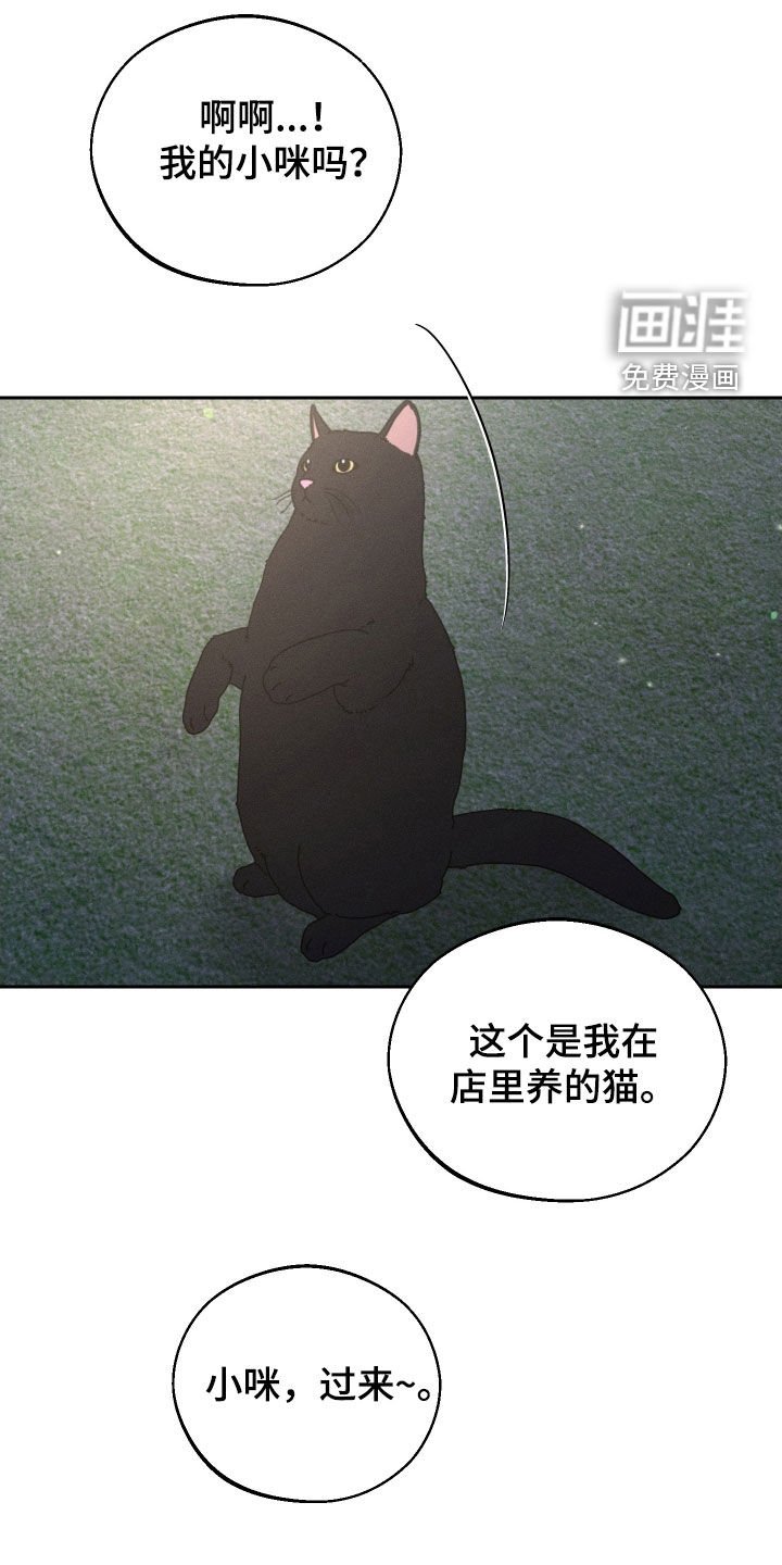 第99章：【第二季】为什么都失去了