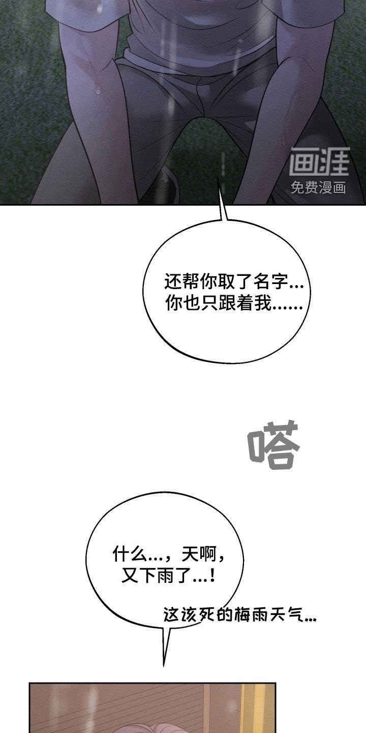 第99章：【第二季】为什么都失去了