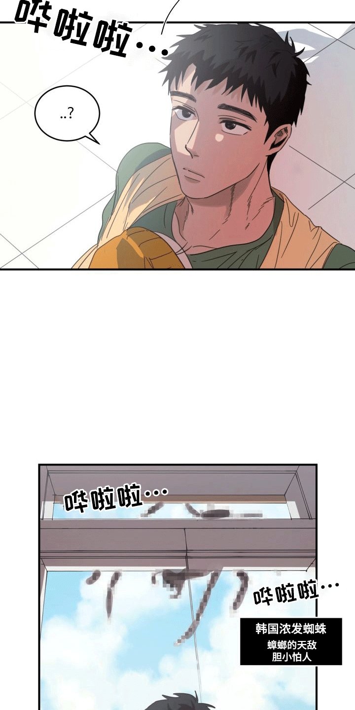 第4章：回家