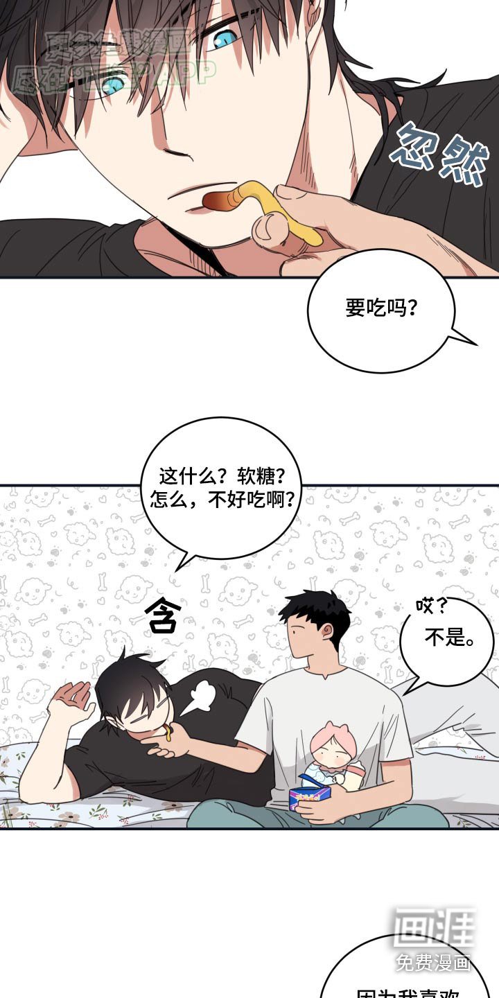 第43章：电影之夜