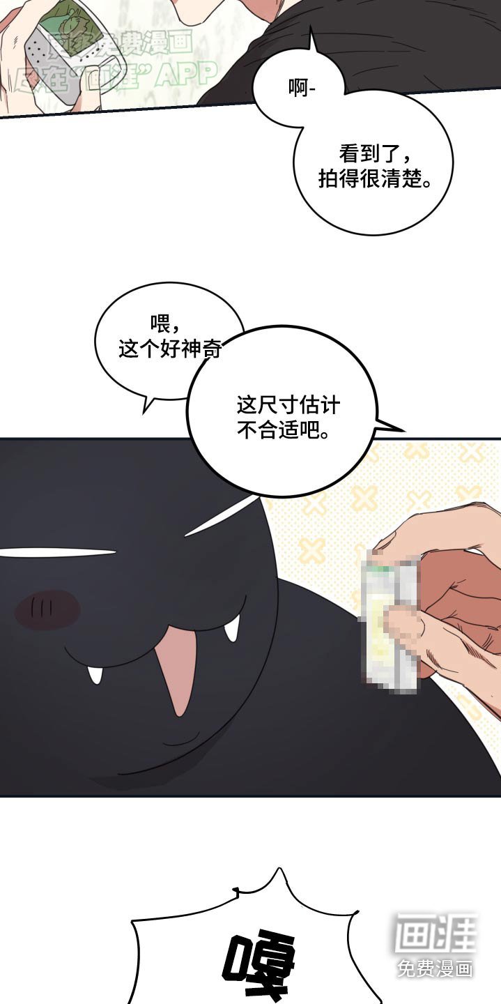 第43章：电影之夜