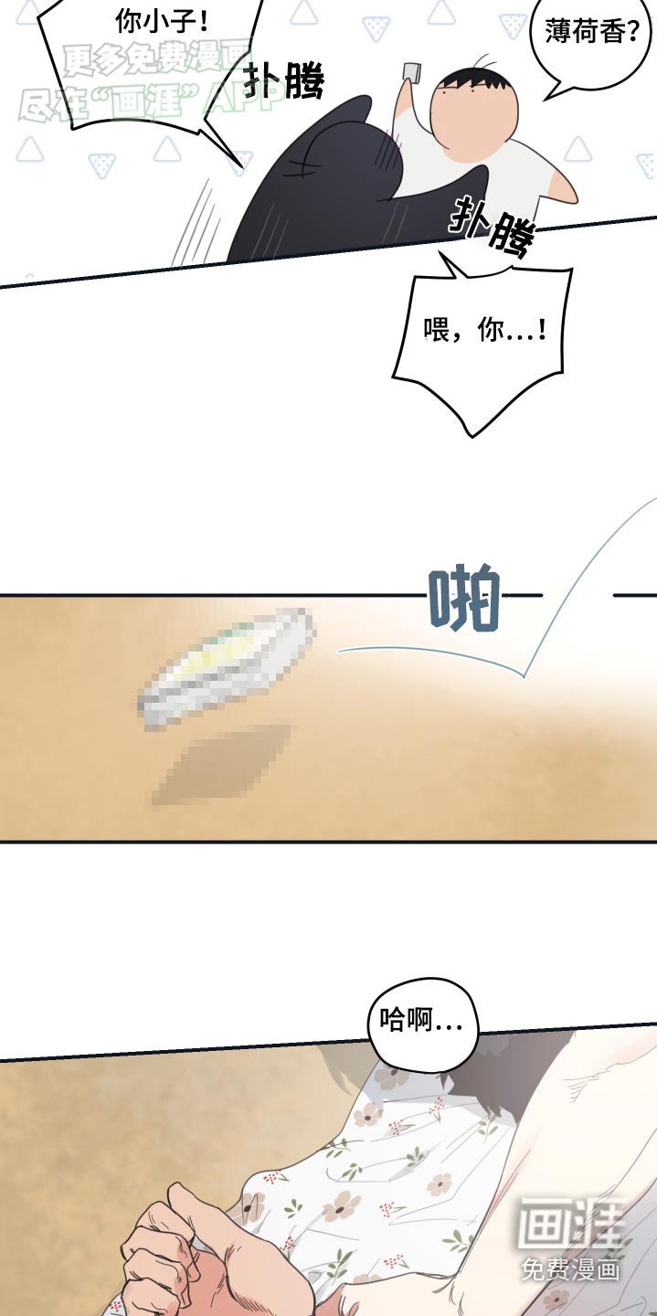 第43章：电影之夜