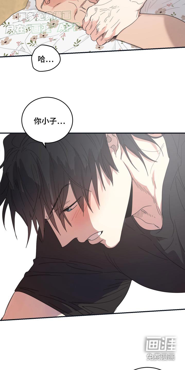 第43章：电影之夜