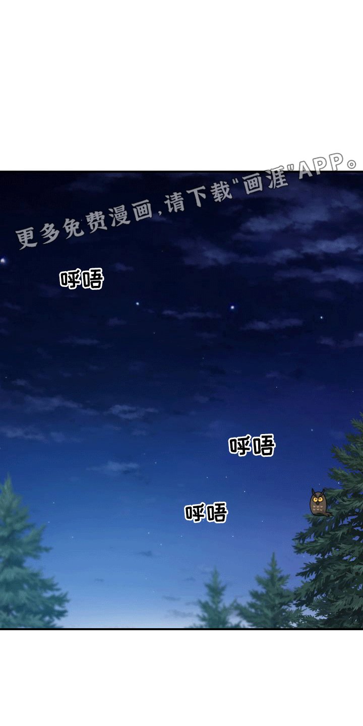 第5章：自行车