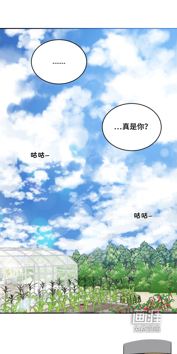 第61章：【第二季】一直有电话