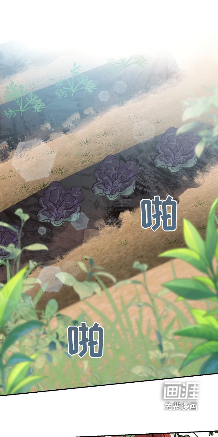 第62章：【第二季】老人