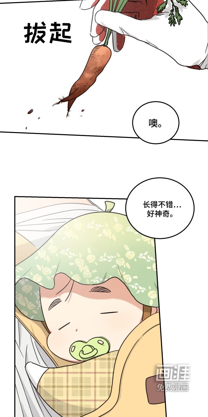 第62章：【第二季】老人