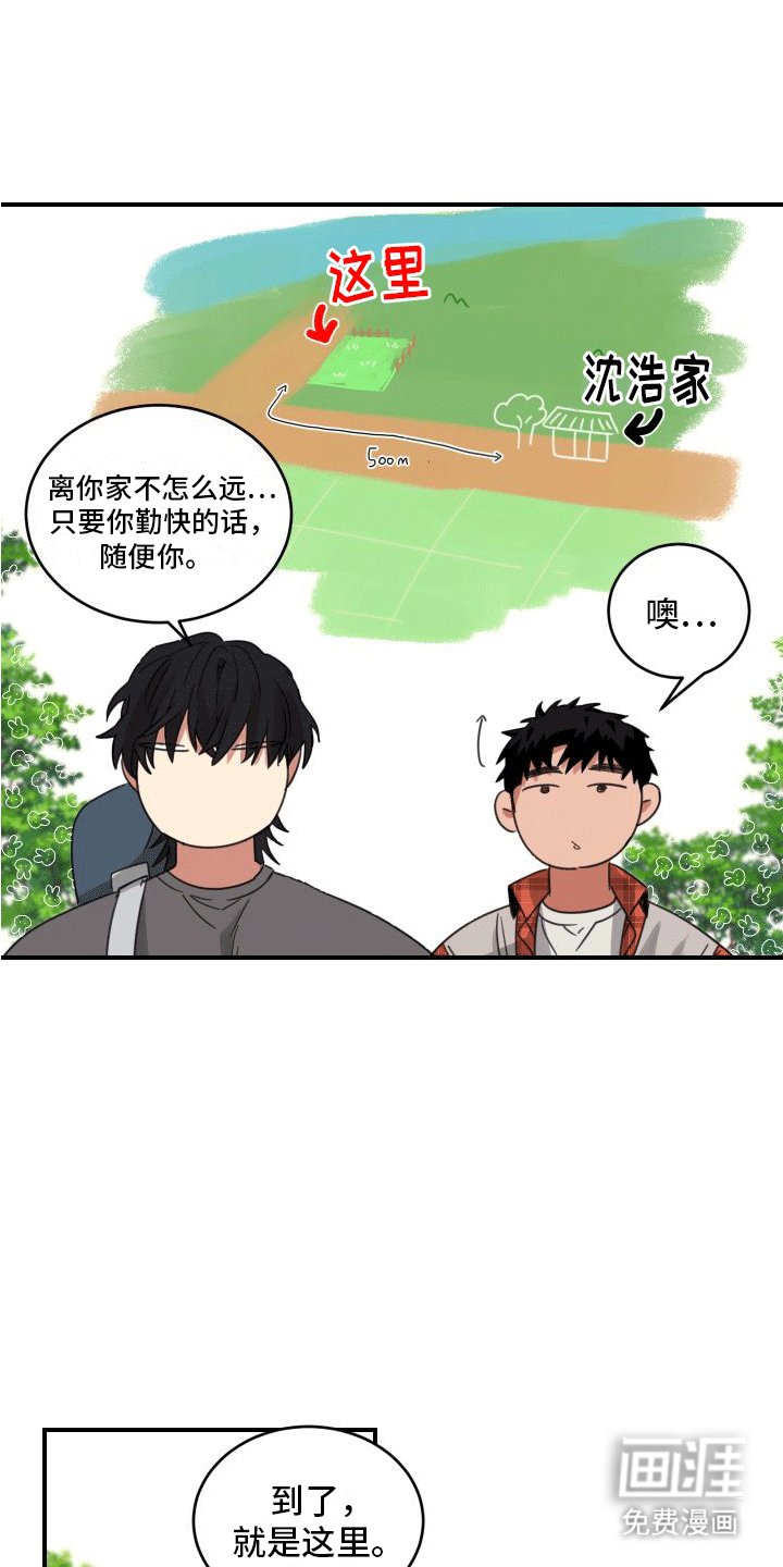 第9章：除草