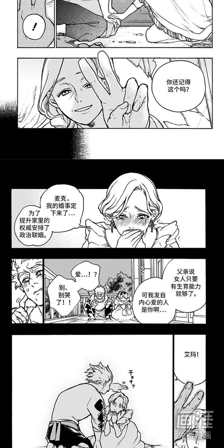 第13章：非常棒的事