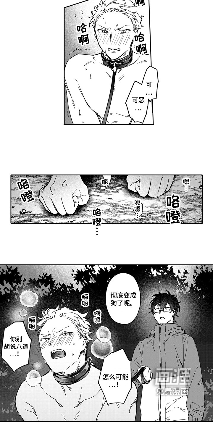 第11章：期待