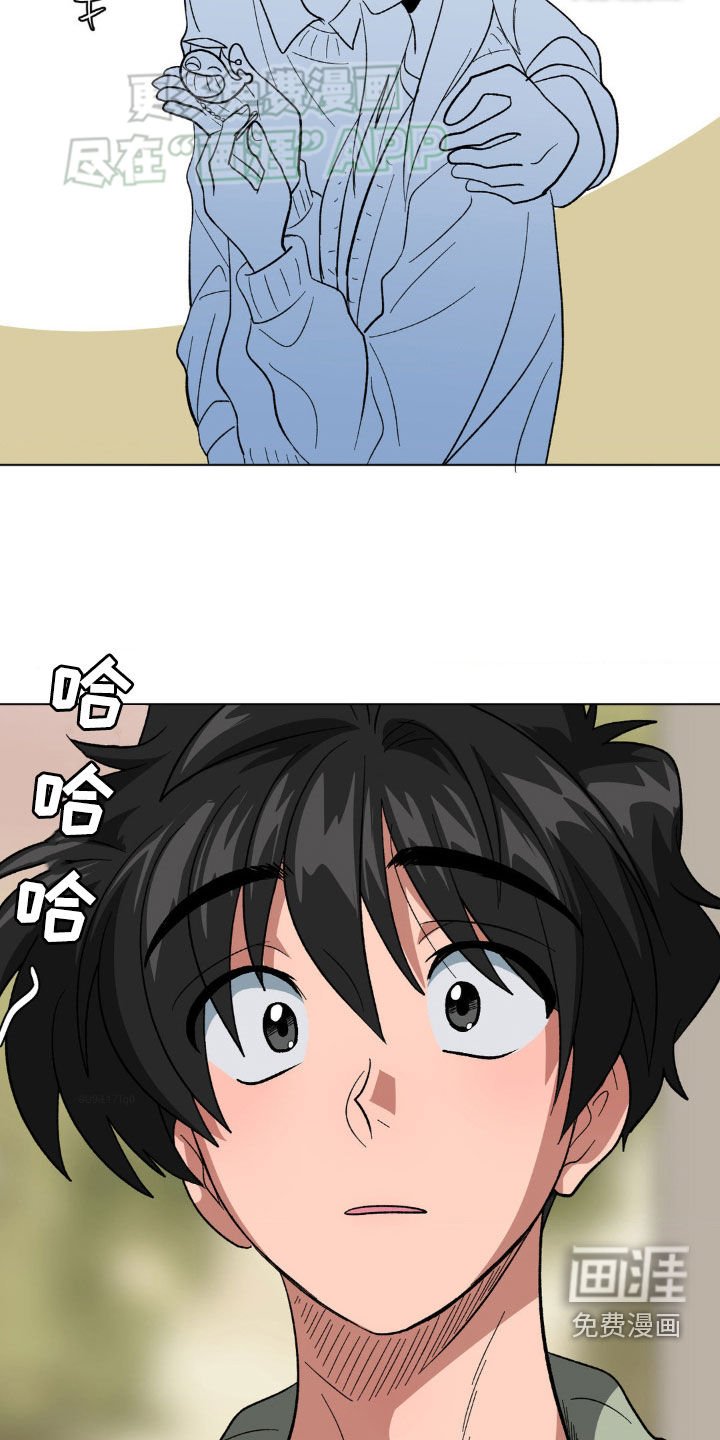 第25章：进展