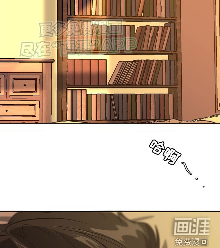第28章：诚实一点