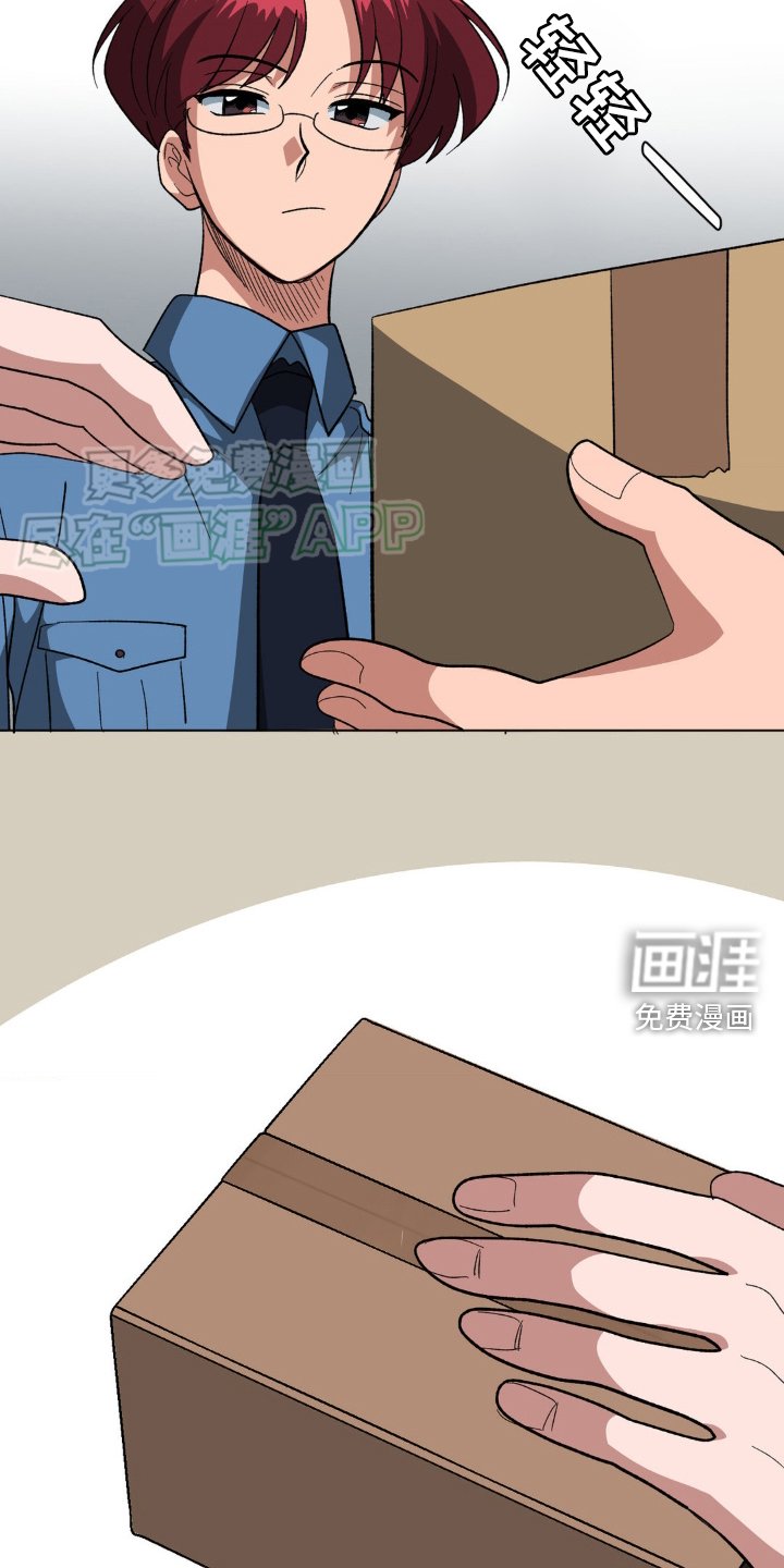 第37章：判断