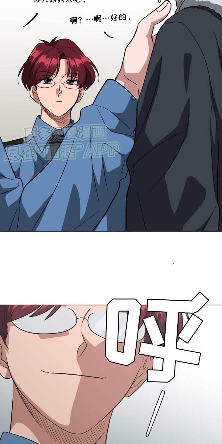 第37章：判断