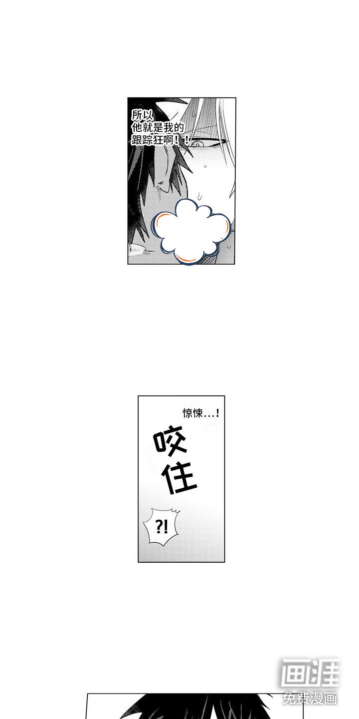 第4章：奇特反应 