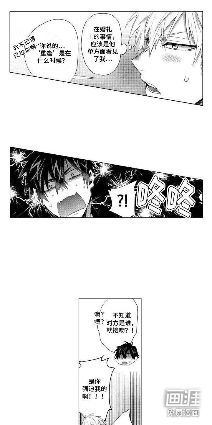 第4章：奇特反应 