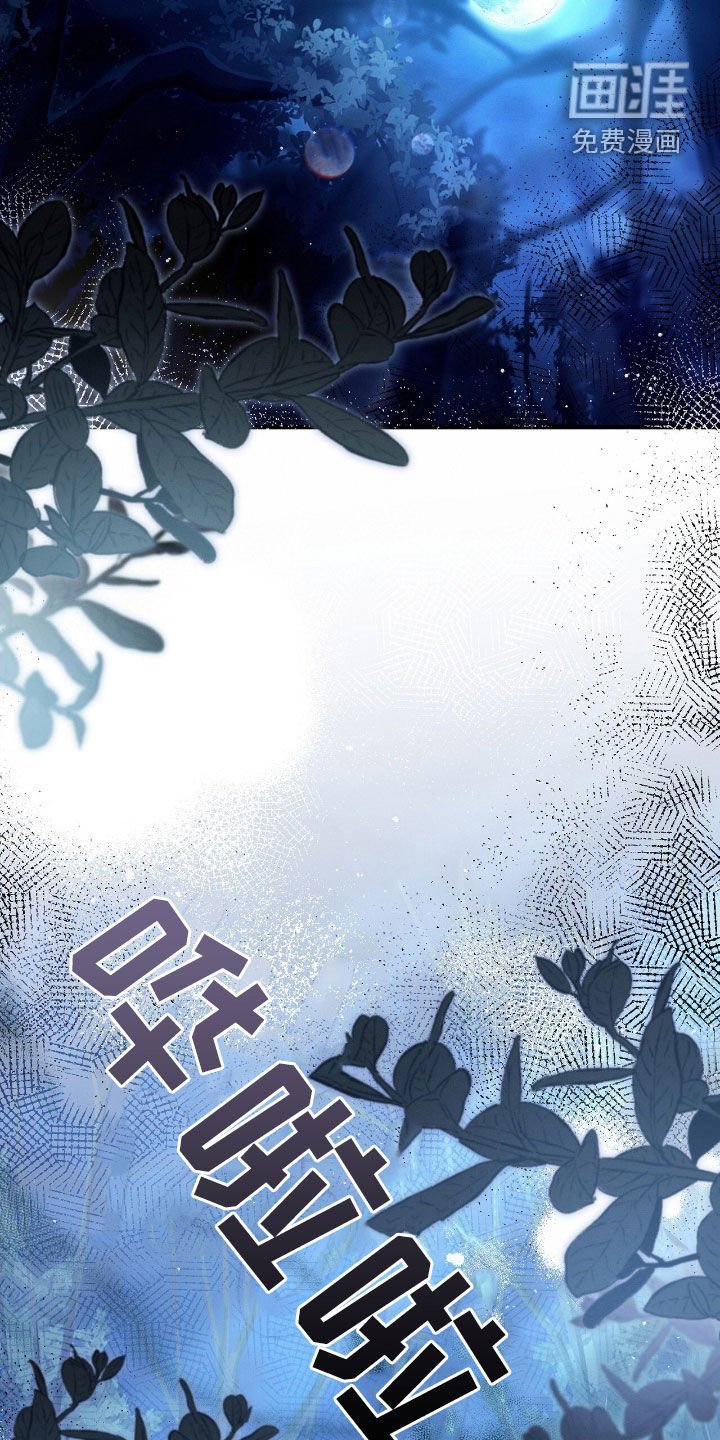 第101章：散步