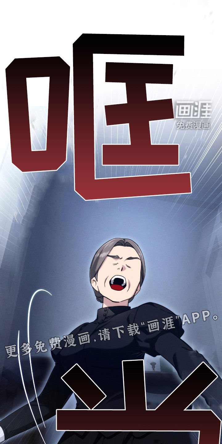 第109章：全都是假象
