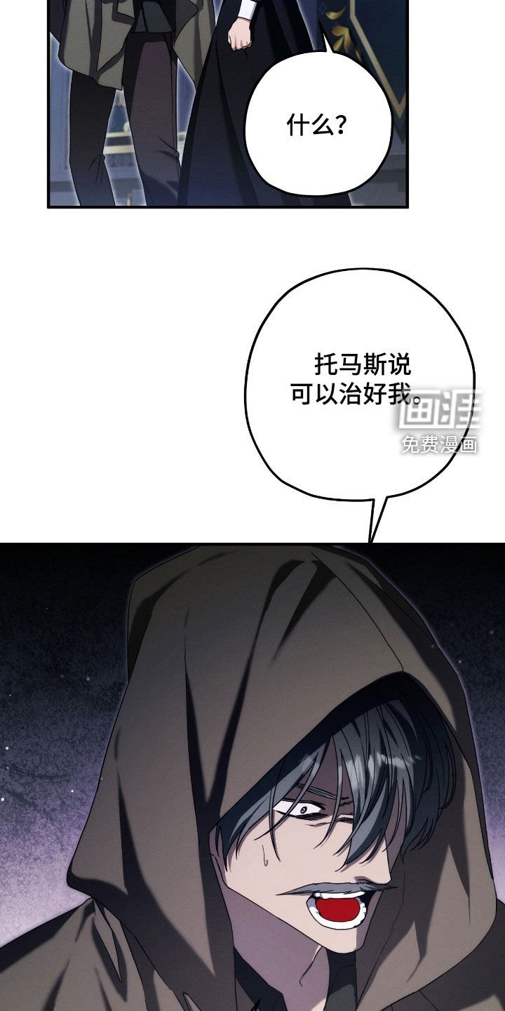 第109章：全都是假象