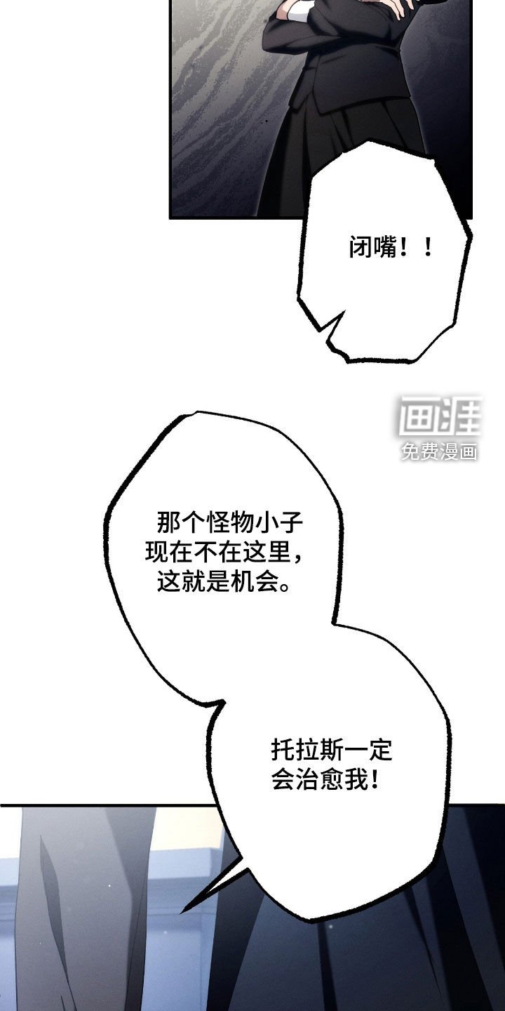 第109章：全都是假象