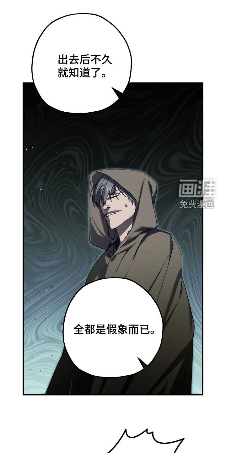第109章：全都是假象