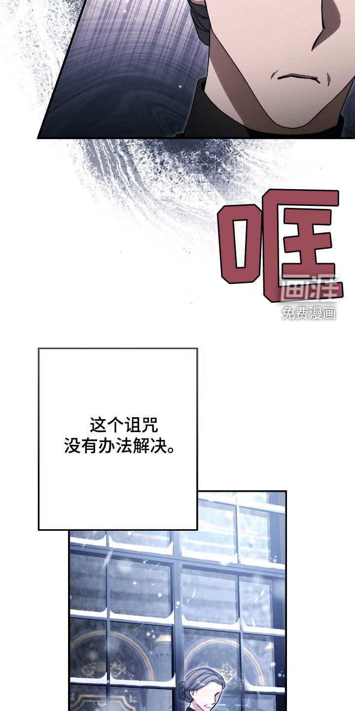 第109章：全都是假象
