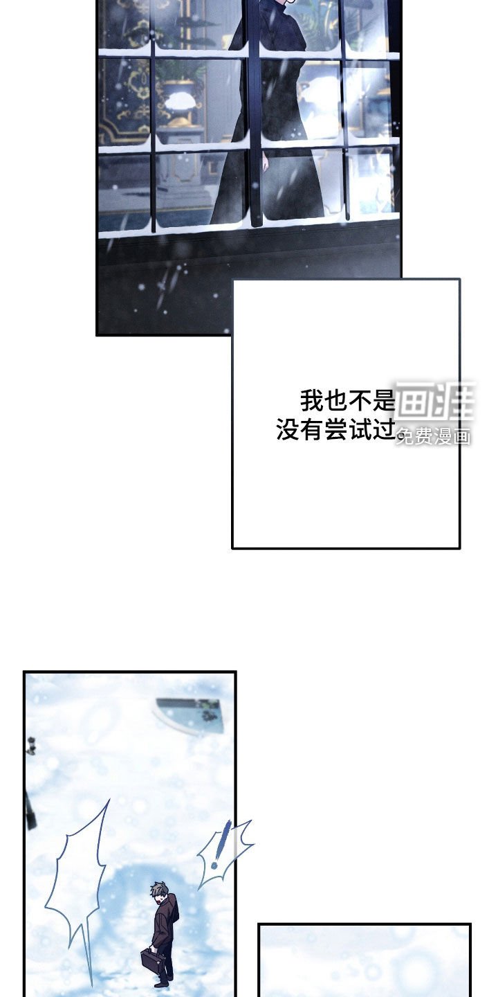 第109章：全都是假象
