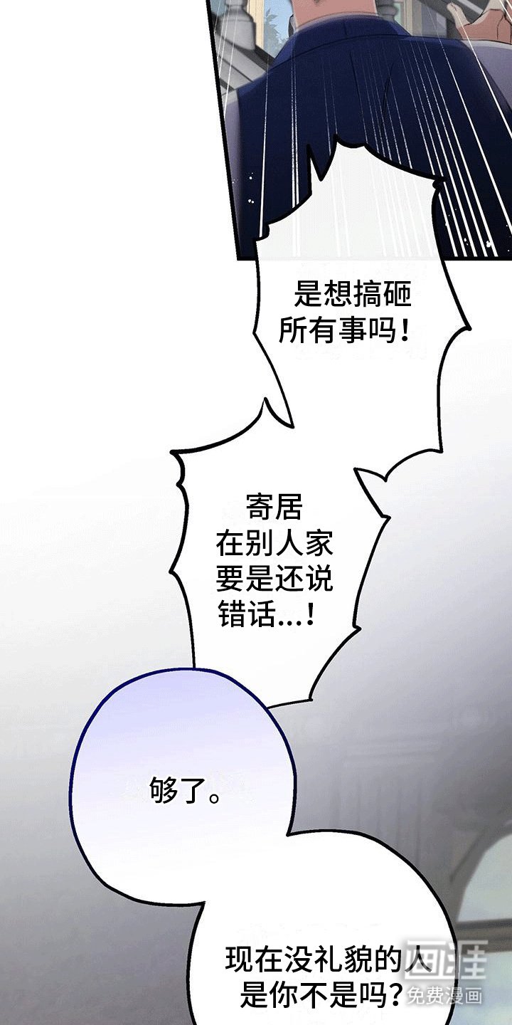 第11章：不识字