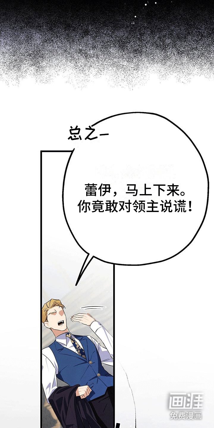 第11章：不识字