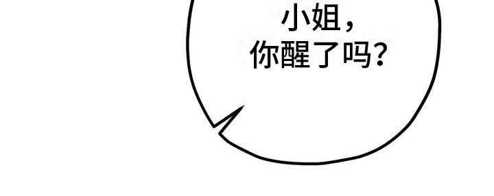 第11章：不识字