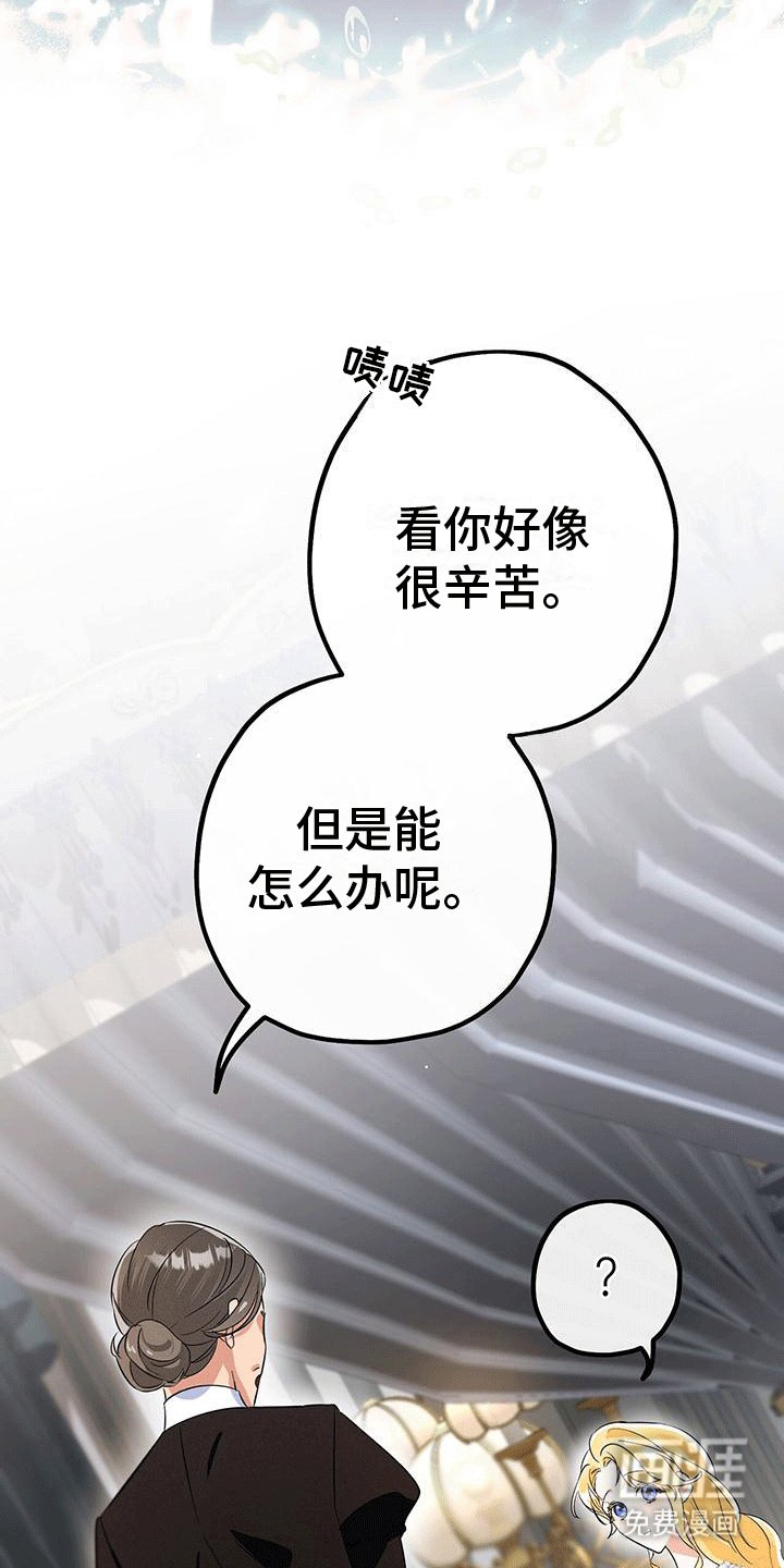 第11章：不识字
