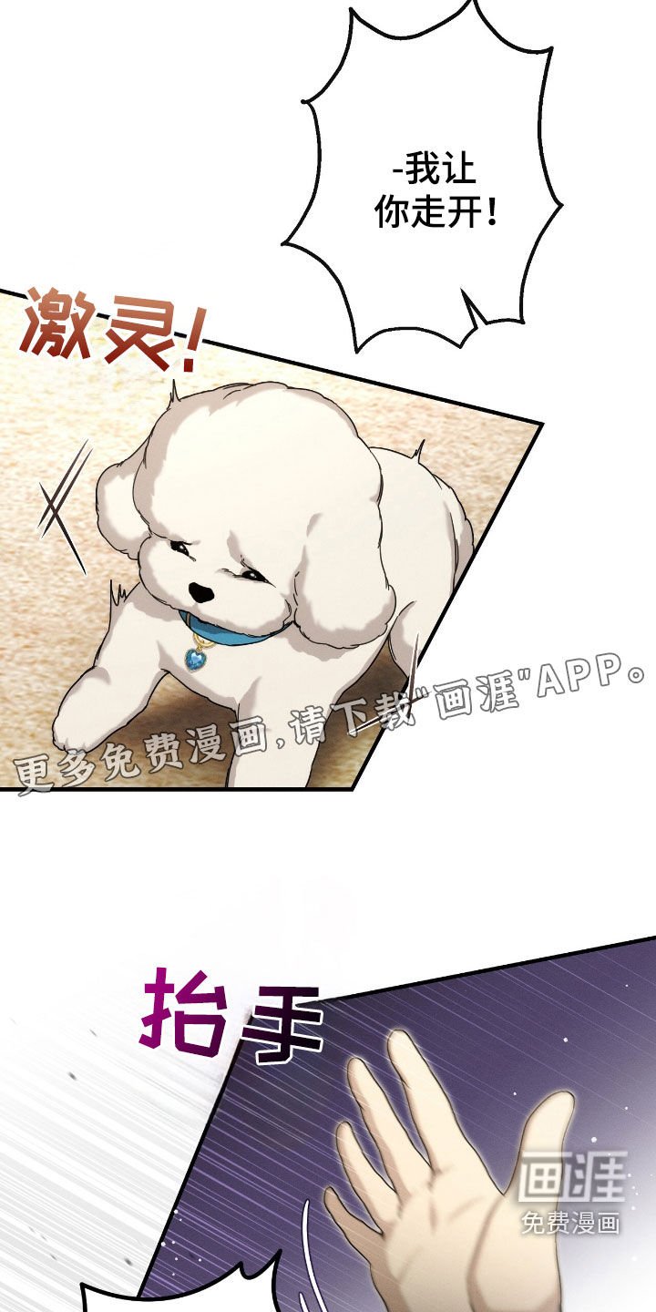 第111章：小狗