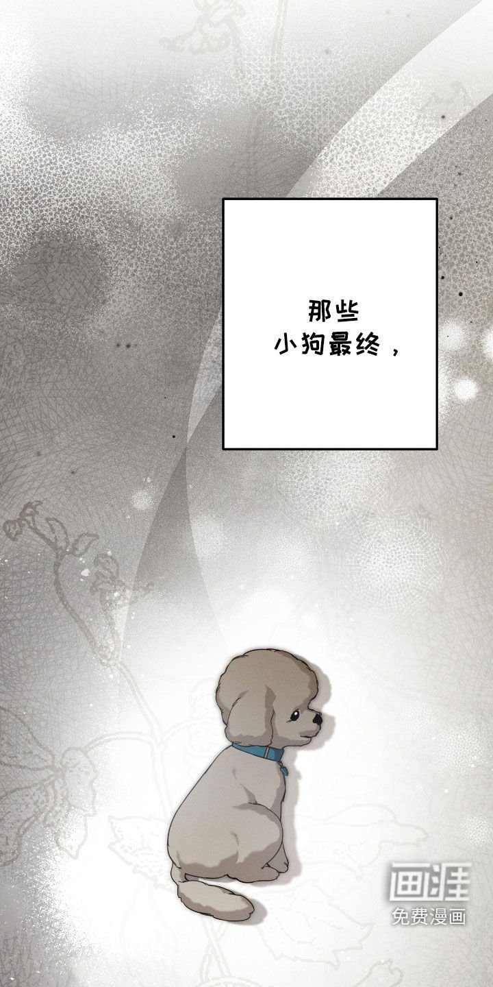 第111章：小狗