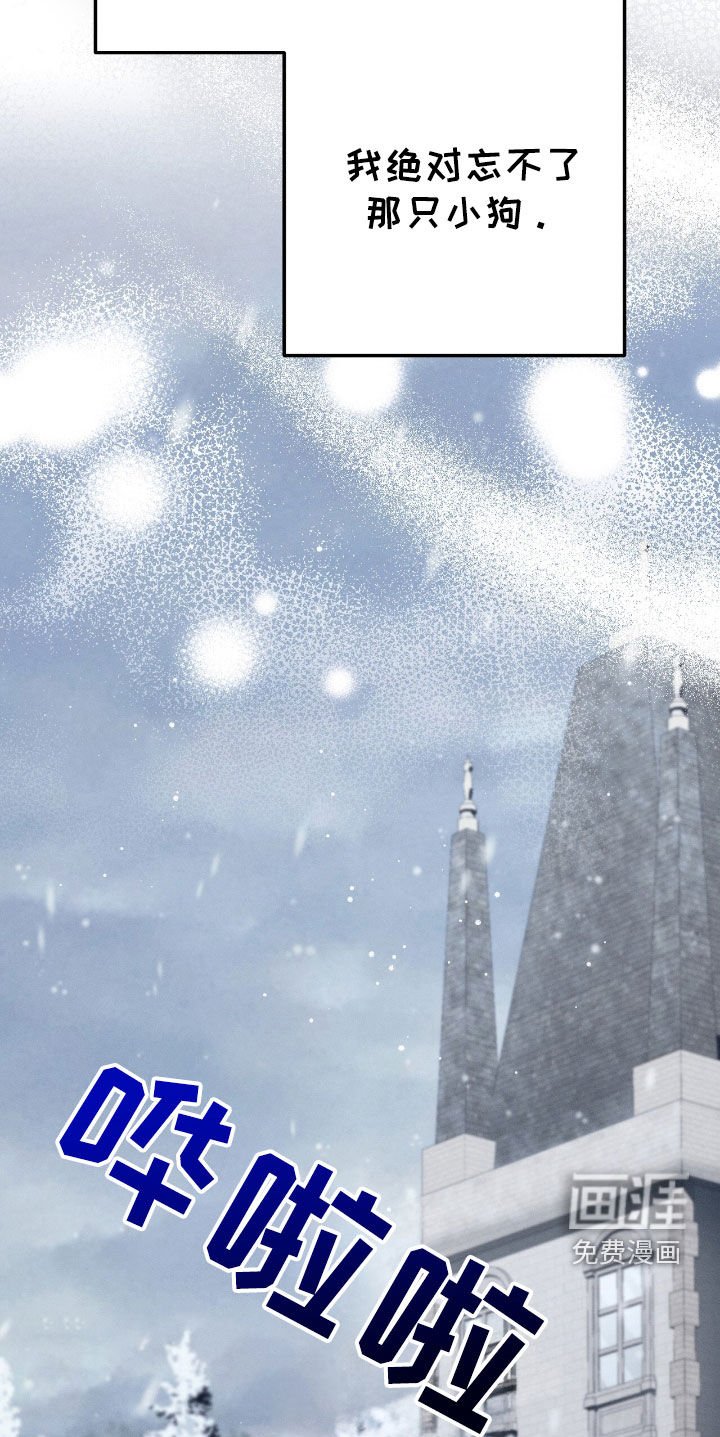第111章：小狗